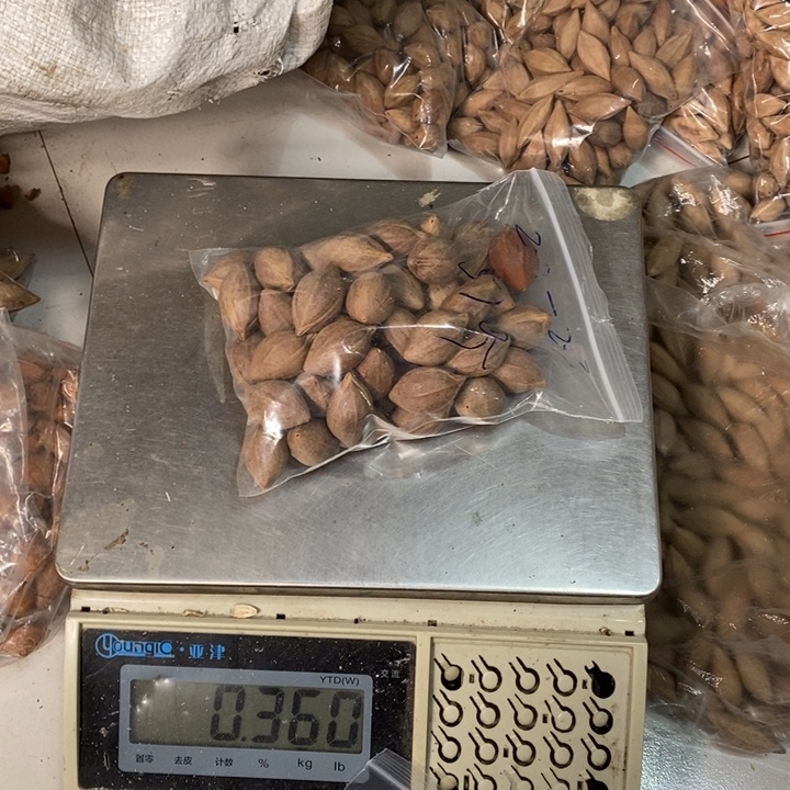 吊坠橄榄核不*雲