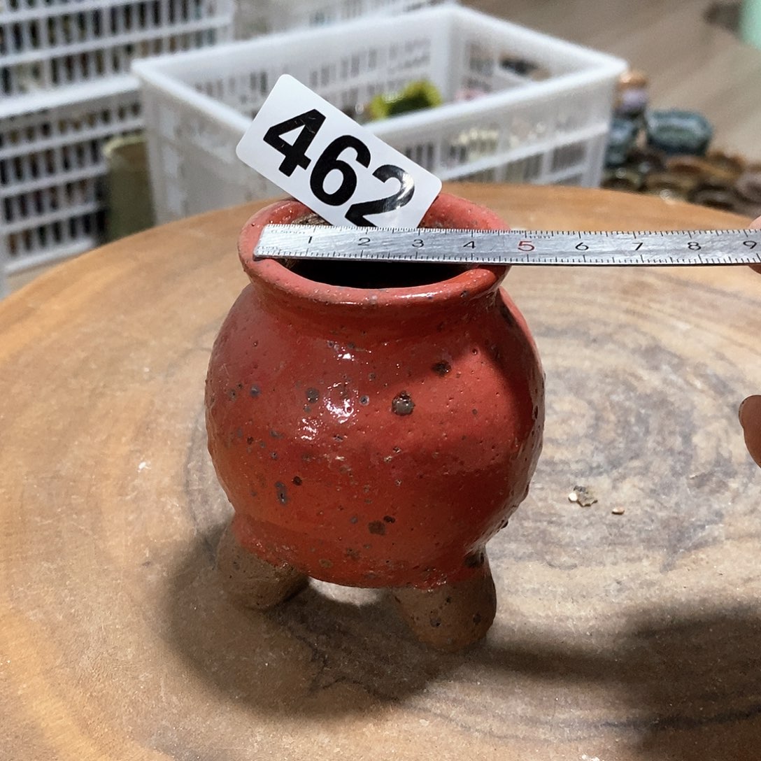 红陶拍5送一个小