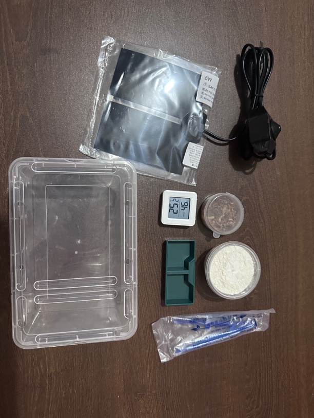 豹纹守宫饲养套装七件套