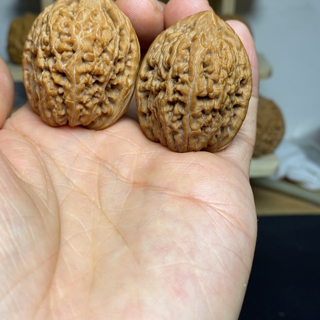 大叶紫檀（黑酸枝木类）33尺寸大蒜头