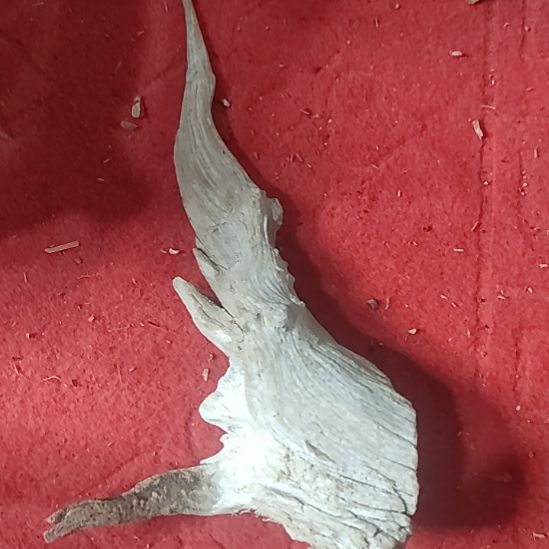 柏木崖柏工艺品坨子崖柏