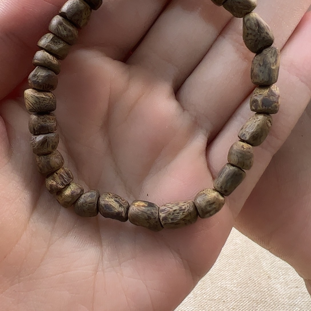 沉香沉香碎屑沉香碎屑树丁多样性发一D1-ZY02