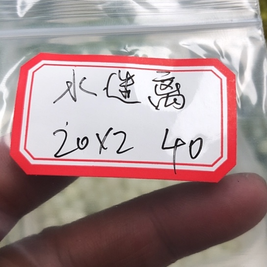 蛇纹石玉颈饰合金水*离