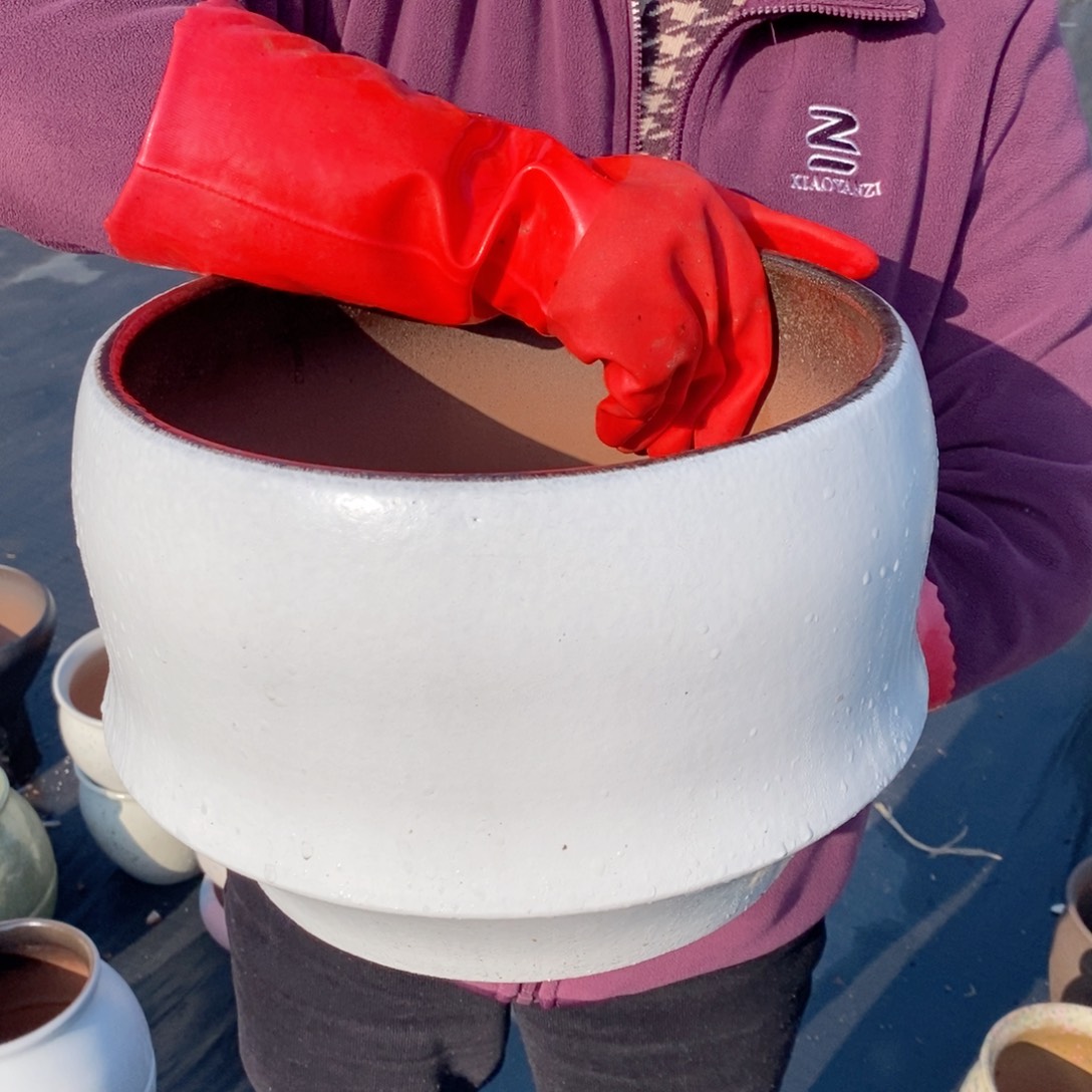 红陶口29高21～～～