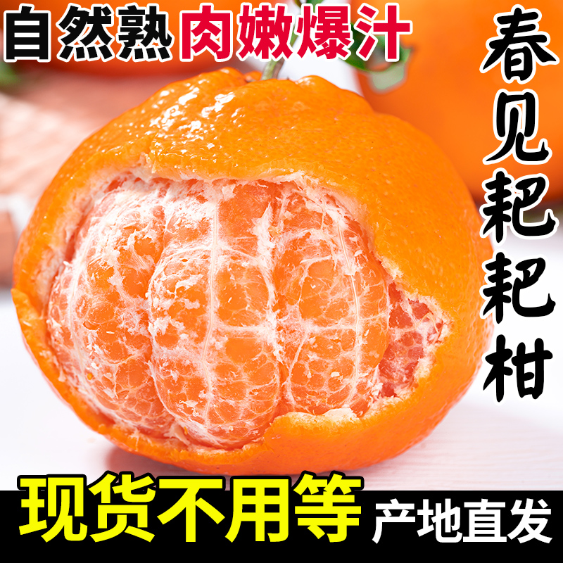 【现货速发】正宗四川春见耙耙柑新鲜水果粑粑柑橘子当季丑桔八怪