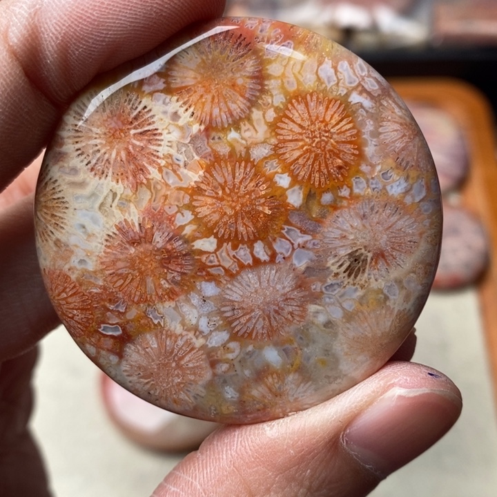 硅化玉颈饰未镶嵌丽*