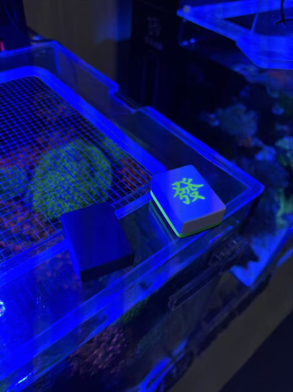 鱼缸磁力刷N52强磁麻将发财磁力刷