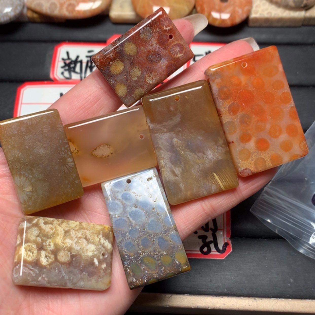 【闪购商品】硅化玉颈饰未镶嵌