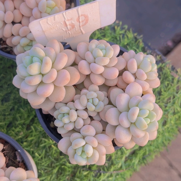 健健康康平平安安