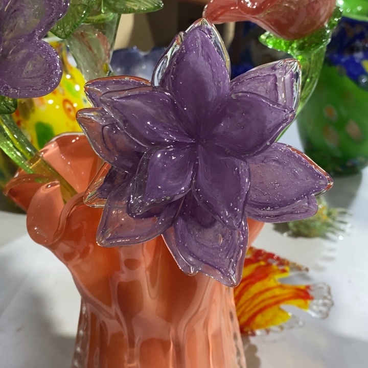 夜光花高45厘米宽12