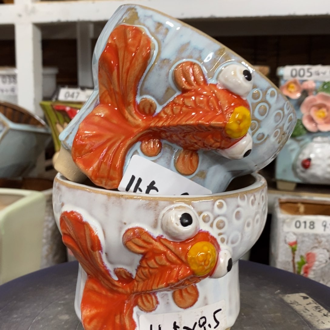 【闪购商品】         