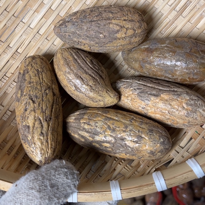 千眼菩提吊坠千眼菩提第145号