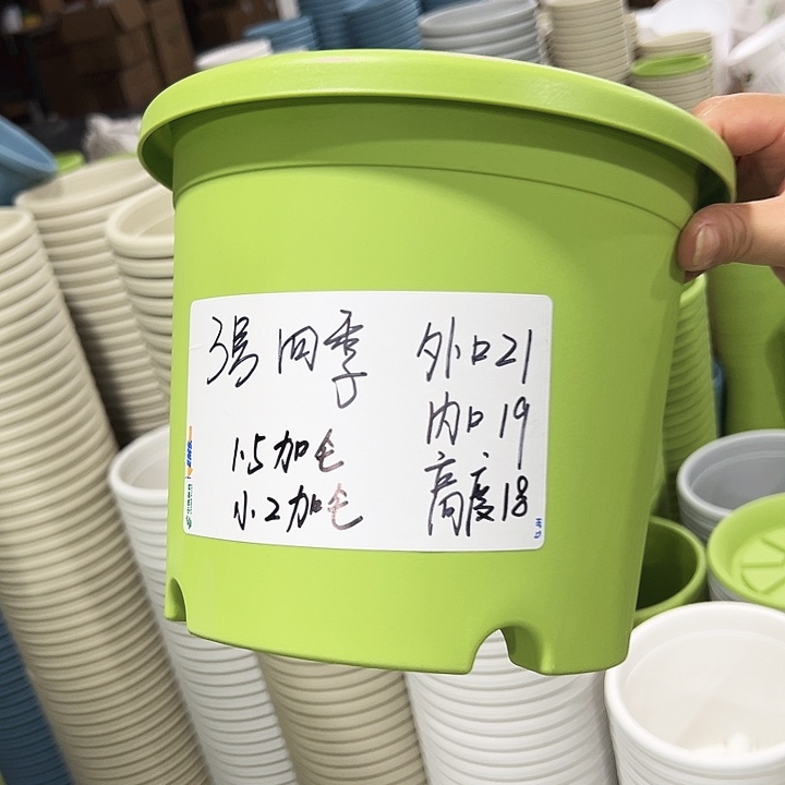 特价3号口21高18果绿无托10只