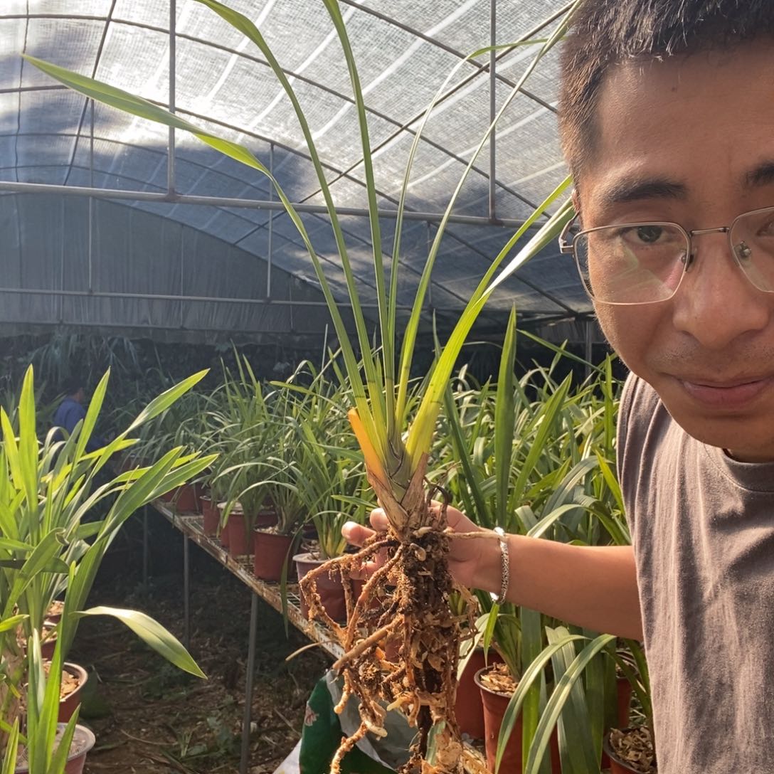 完全开放21红嘴鸥