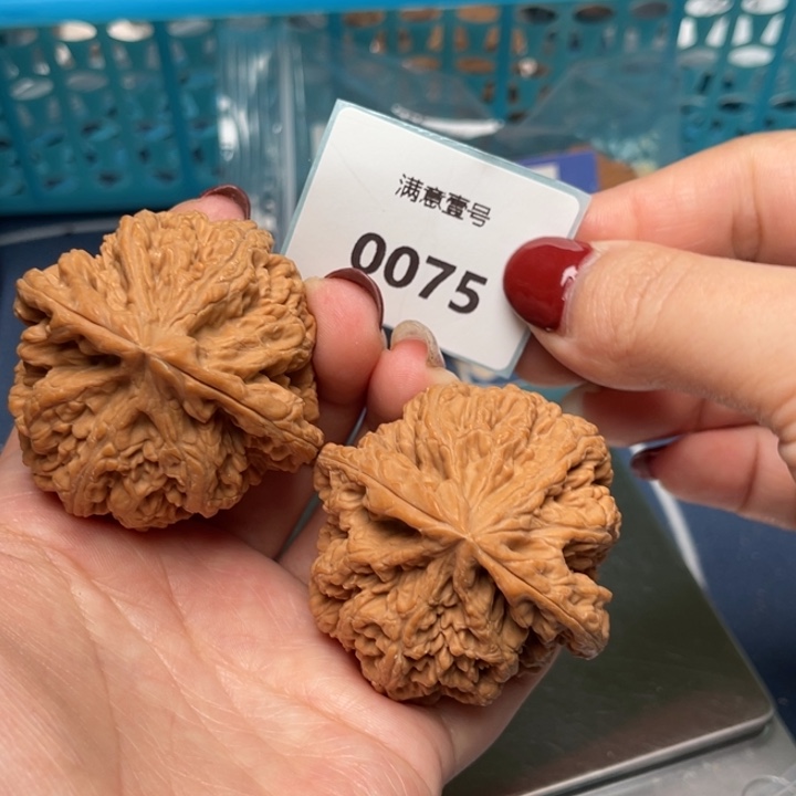 文玩核桃把件粗筋48