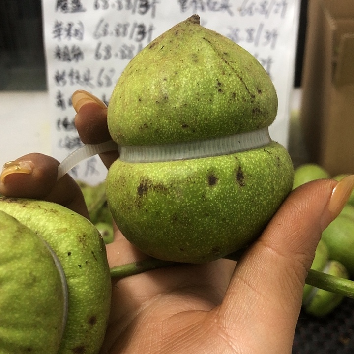 吊坠文玩核桃葫芦