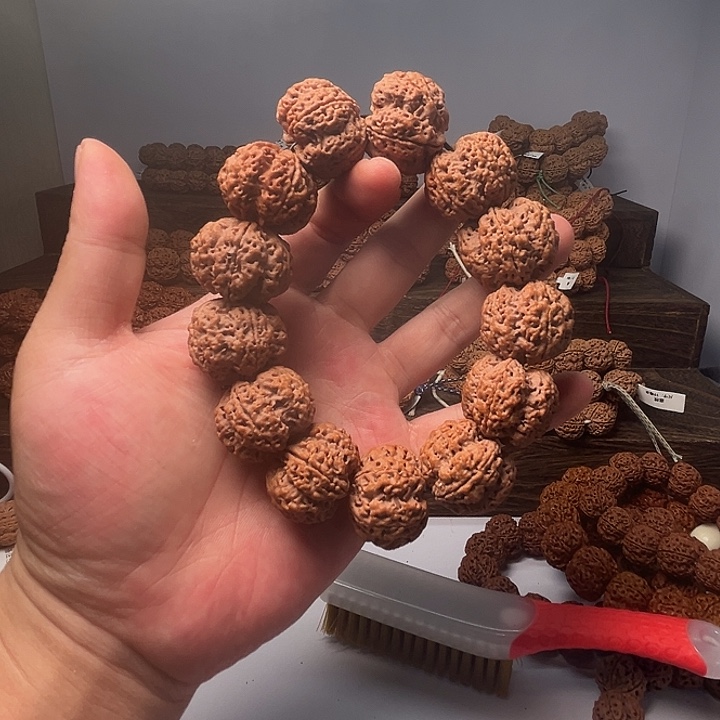 金刚菩提手串老树27