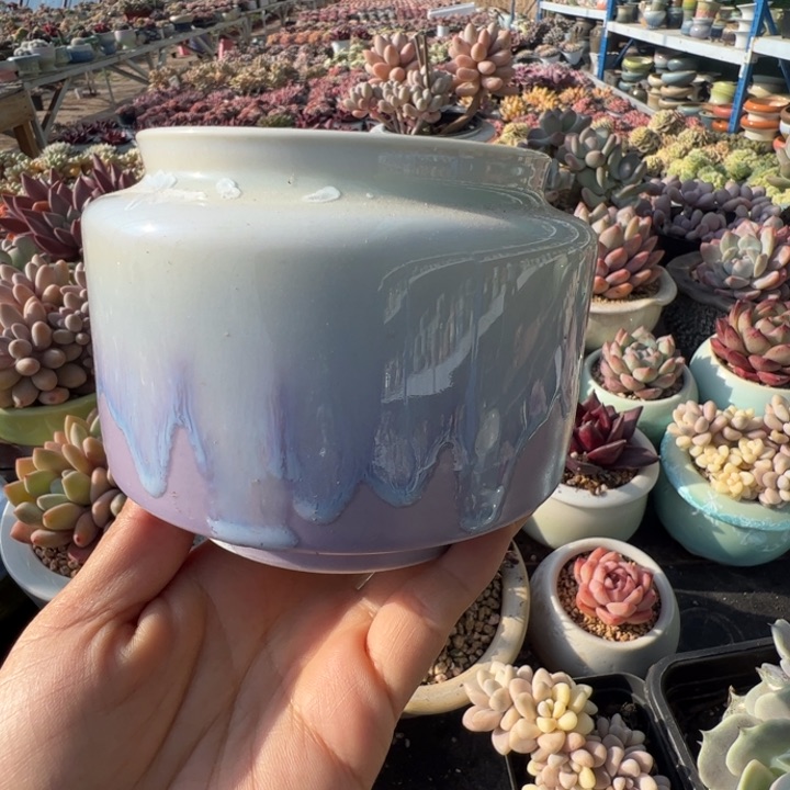 特价花盆满50发货 内口8.5