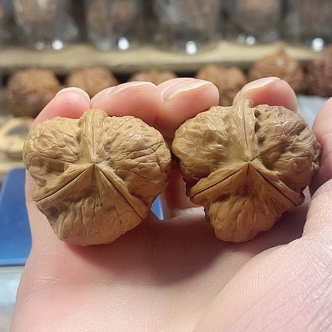 文玩核桃把件玄武索带彩磕尖37