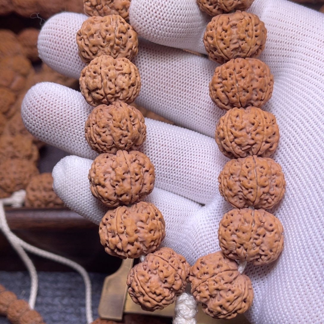 菩提金刚菩提20双龙满肉