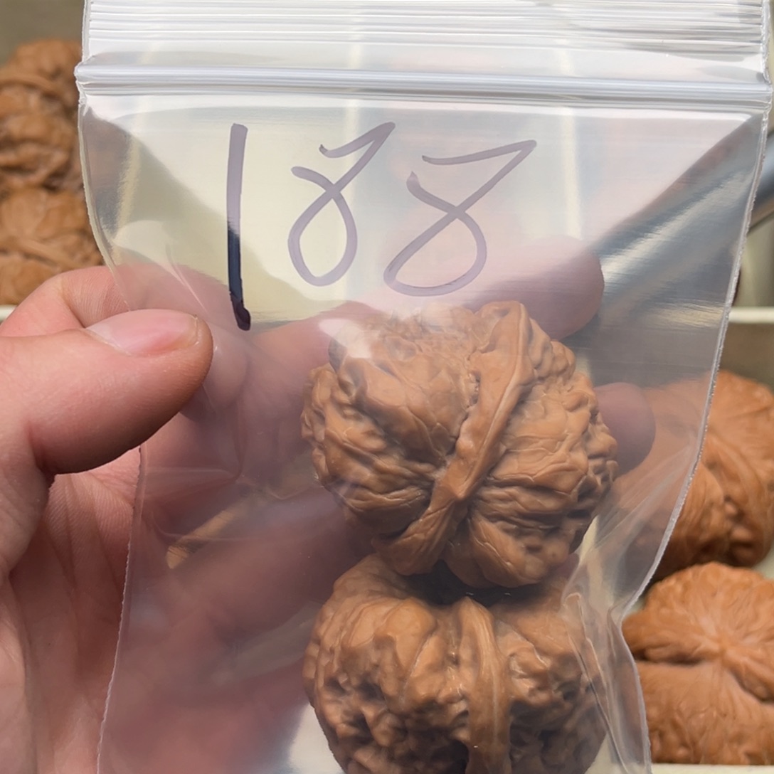 文玩核桃把件湫*41蛤蟆头