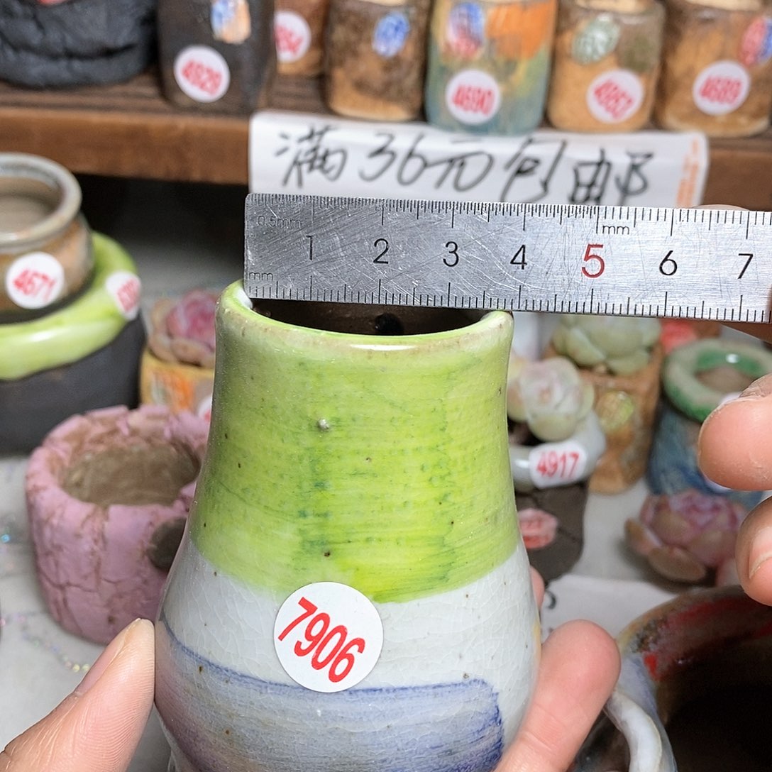 红陶拍5送一个小