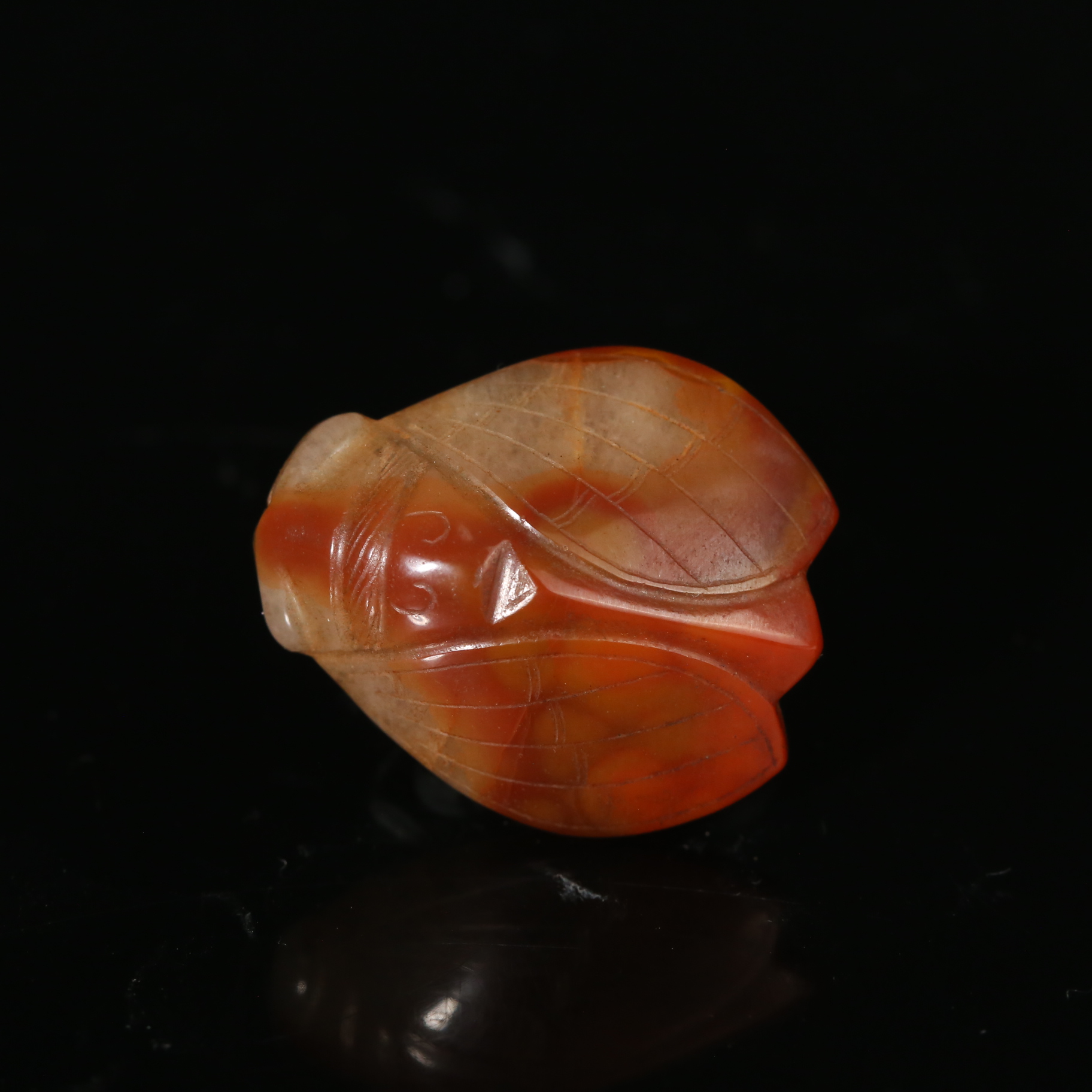 明代战国红玛瑙蝉型佩WDZC2512131008