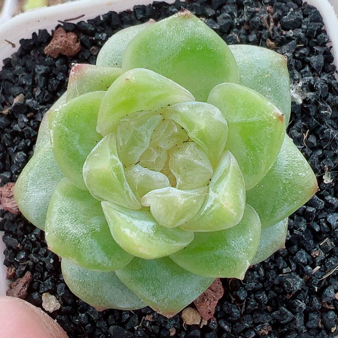 83哈哈哈哈哈哈哈哈我