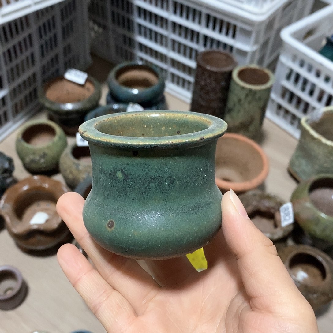 红陶拍5送一个小