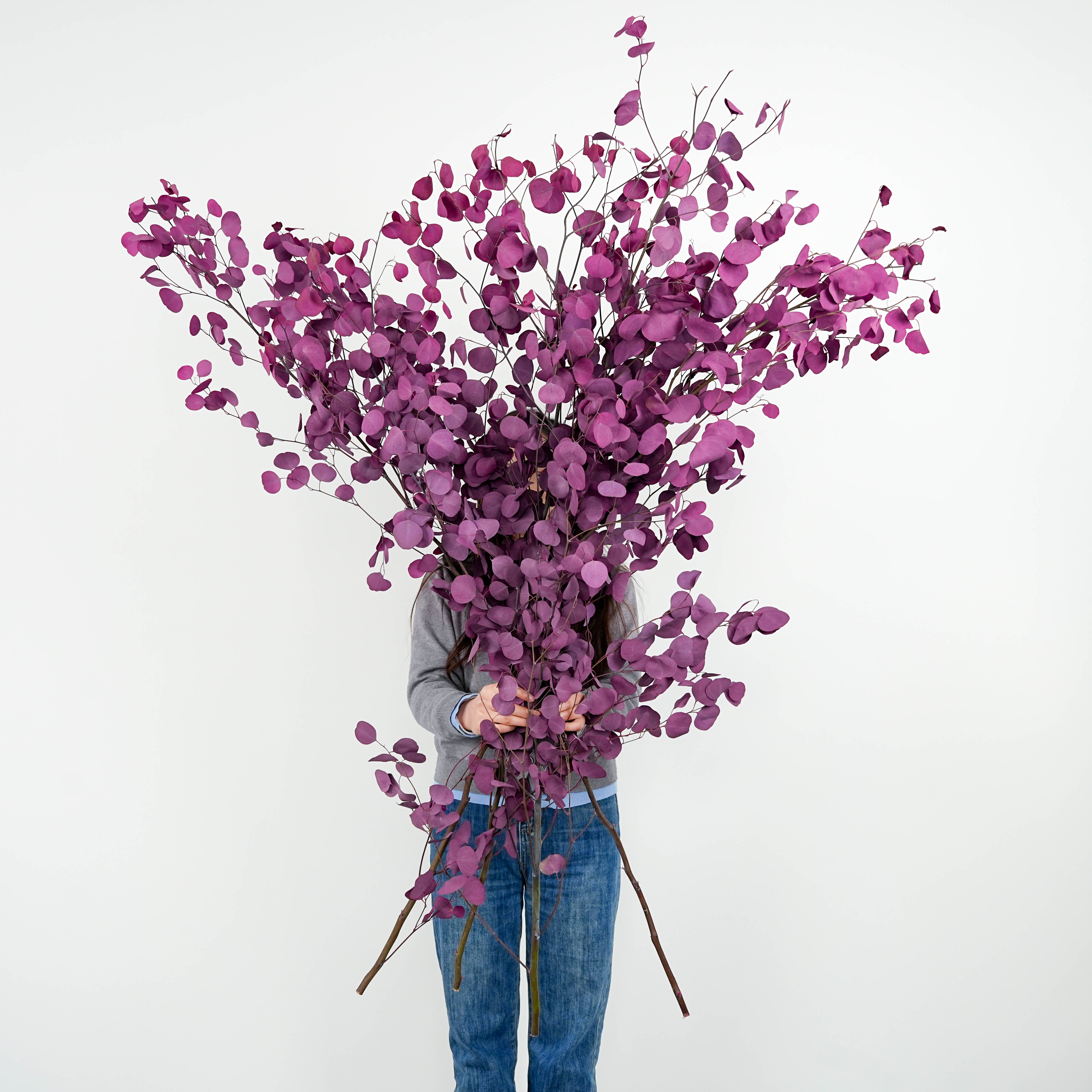 整枝苹果叶1.5米 平安树艺术插花空间装饰花生活用花