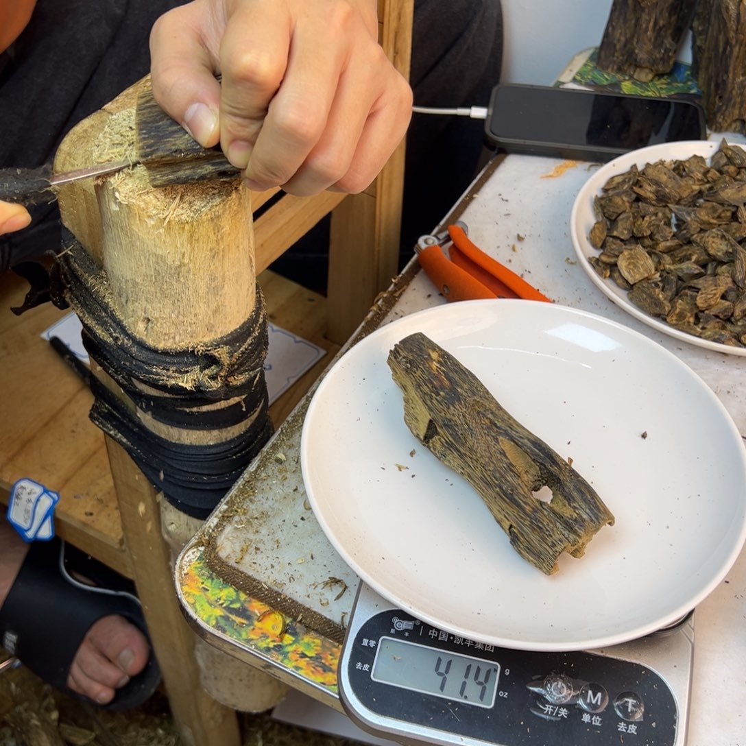 线香奇楠虫漏香41克