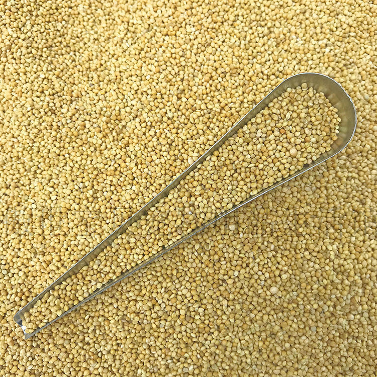 全龄段通用【】黄谷子鹦鹉饲料鸟粮食带壳小米虎皮玄凤牡丹鹦鹉饲