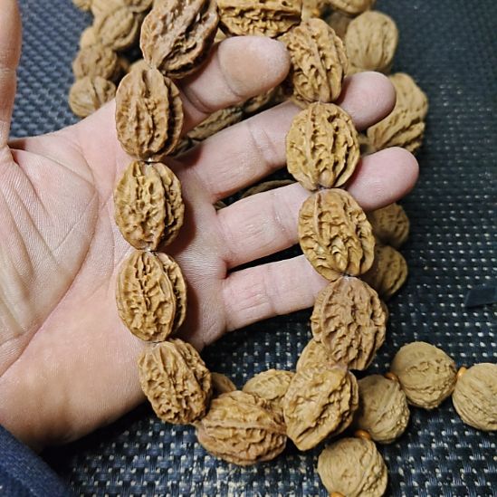 不***啥木质类纯野生山核桃
