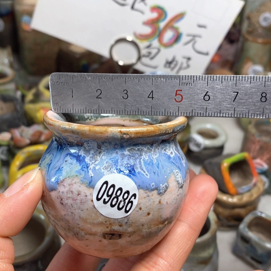 花盆拍5个送一个小礼物