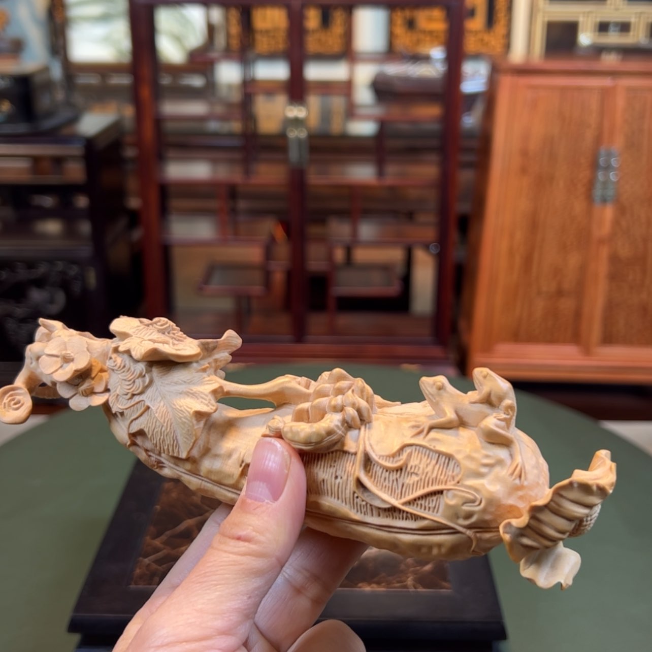 【闪购商品】黄杨木其他黄杨木