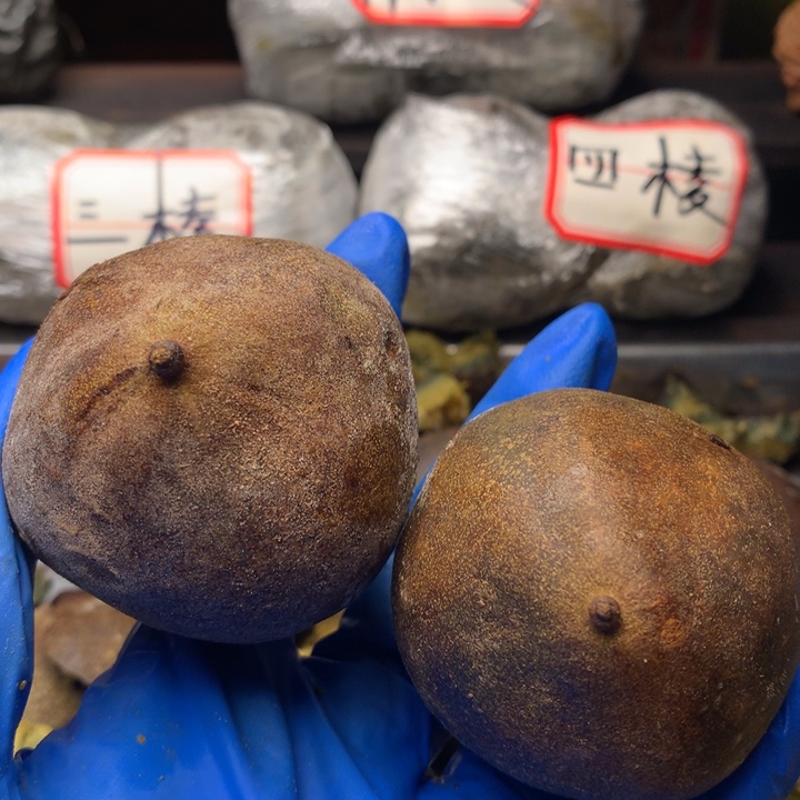 游***练大叶紫檀（黑酸枝木类）