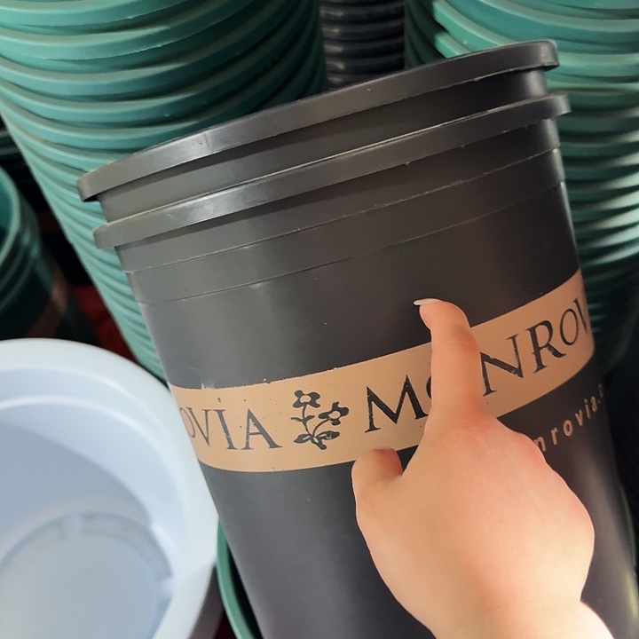 老款5加仑黑色无托5个