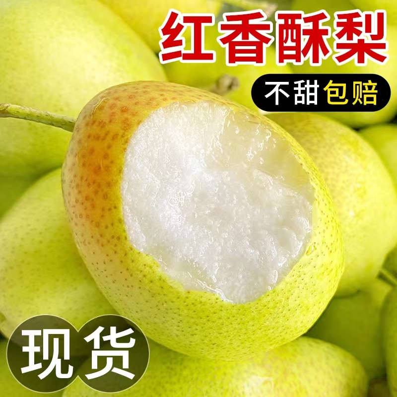 正宗山西红香酥梨当季新鲜水果一整箱批发雪梨子脆甜多汁薄皮好吃