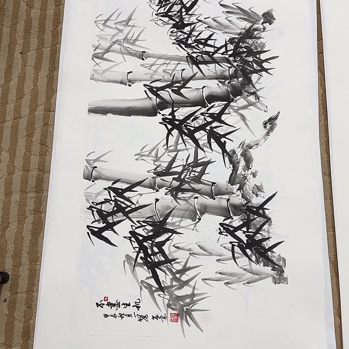 国画花鸟的翅膀是白色和100.50