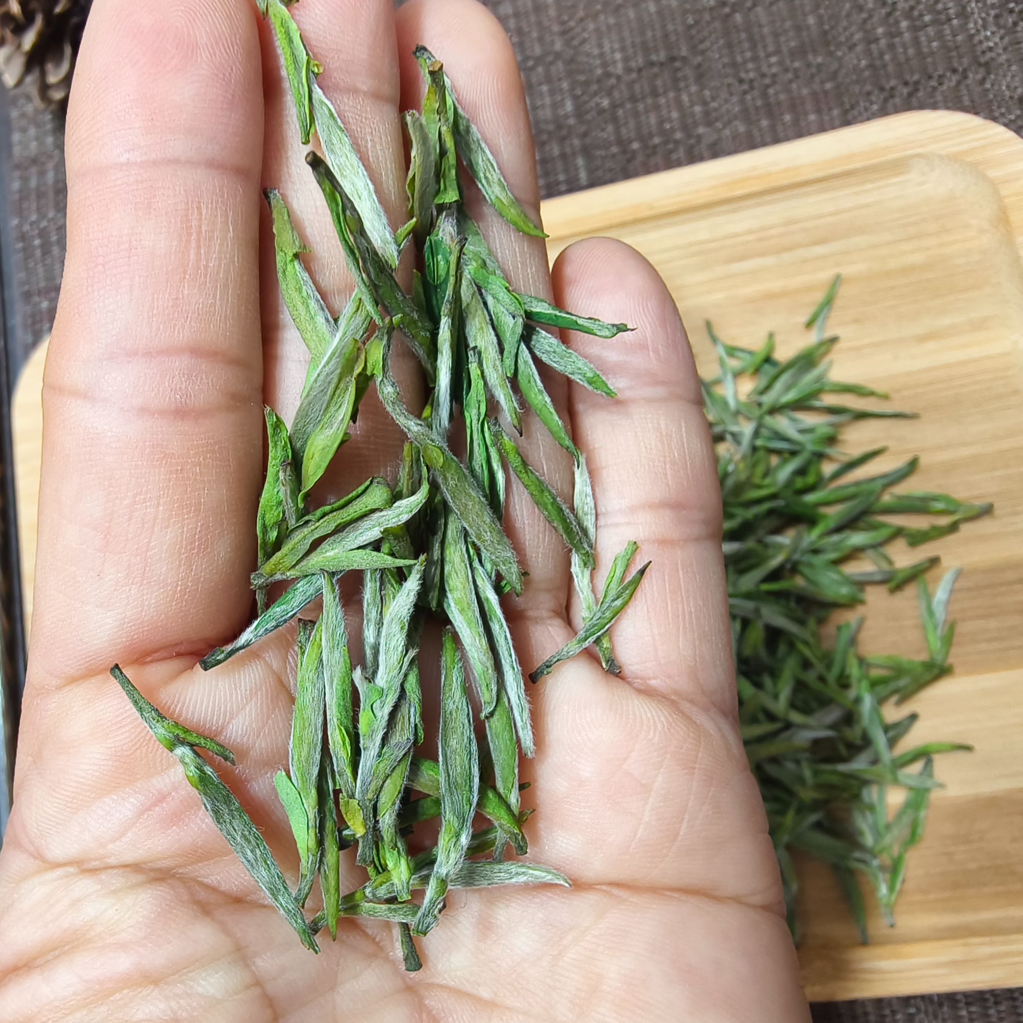 【鑫兰韵】（MJA）25年黄山毛峰 雾里青 新茶春茶绿茶茶叶高山茶