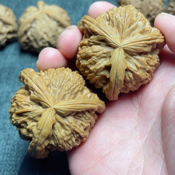 工艺三棱白狮子三棱