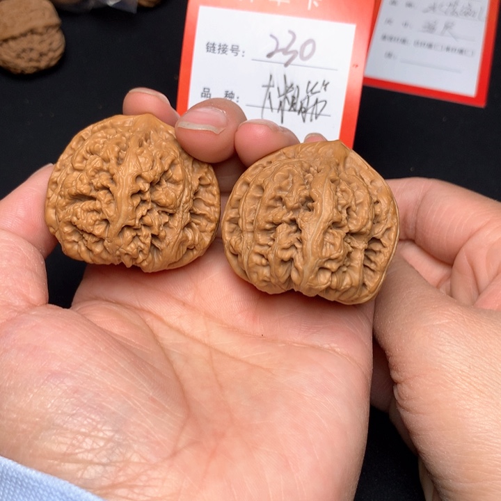 核桃把件精品大啊粗筋43尺230