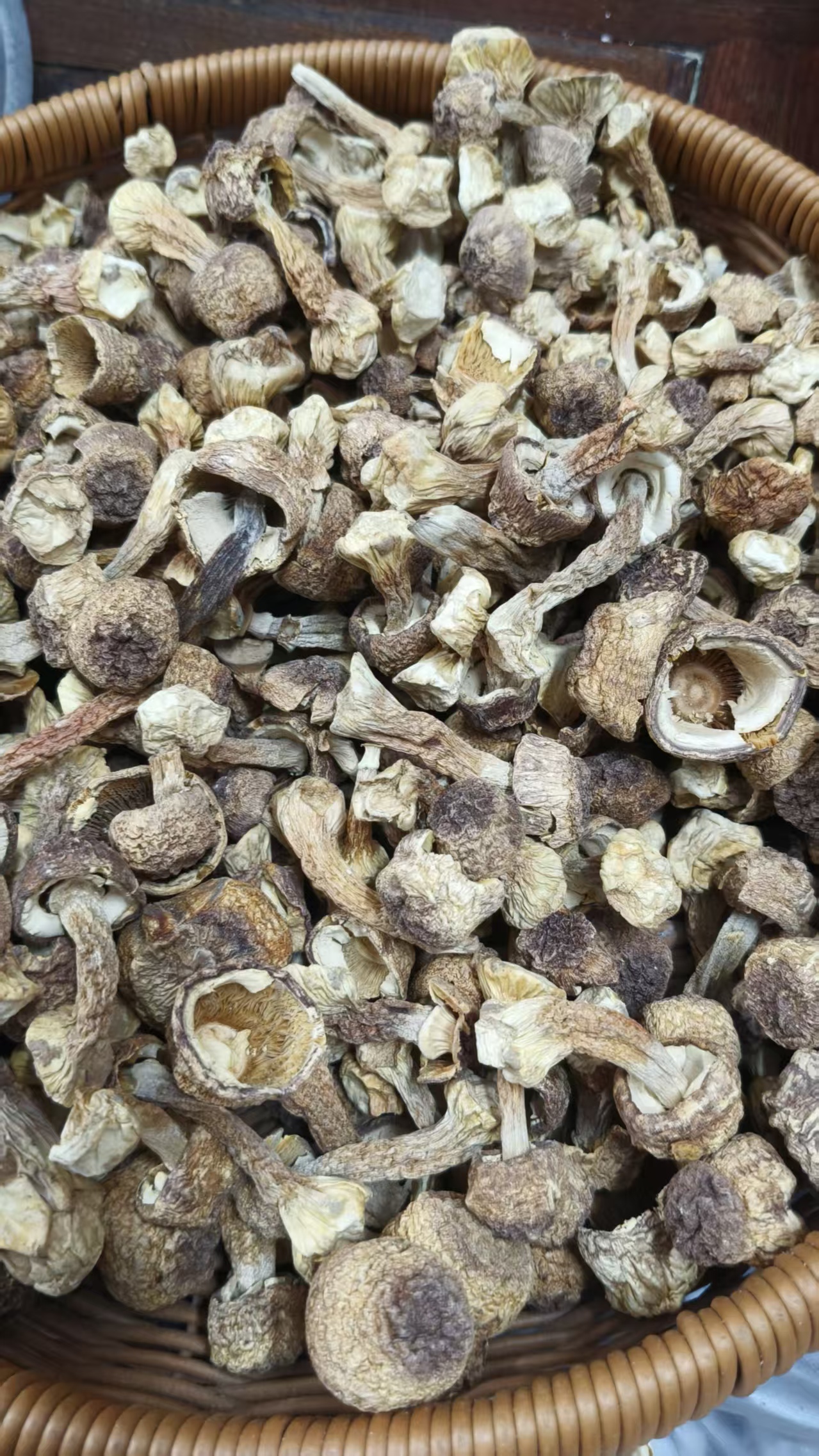 巴西菇干货无熏硫食用菌炖汤佳品