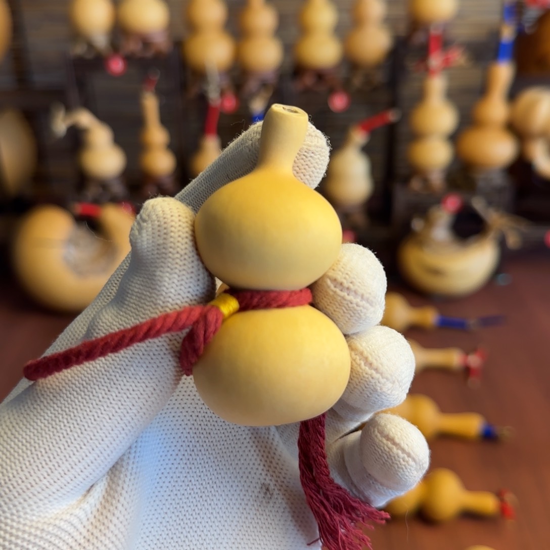 6号双扁五五肚一把抓