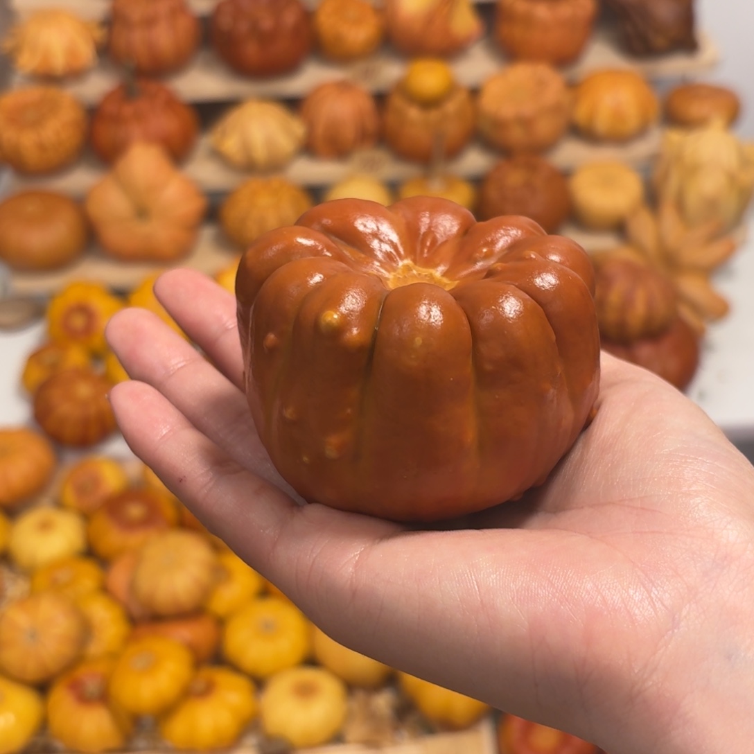 聚宝盆墨西哥葫芦干货