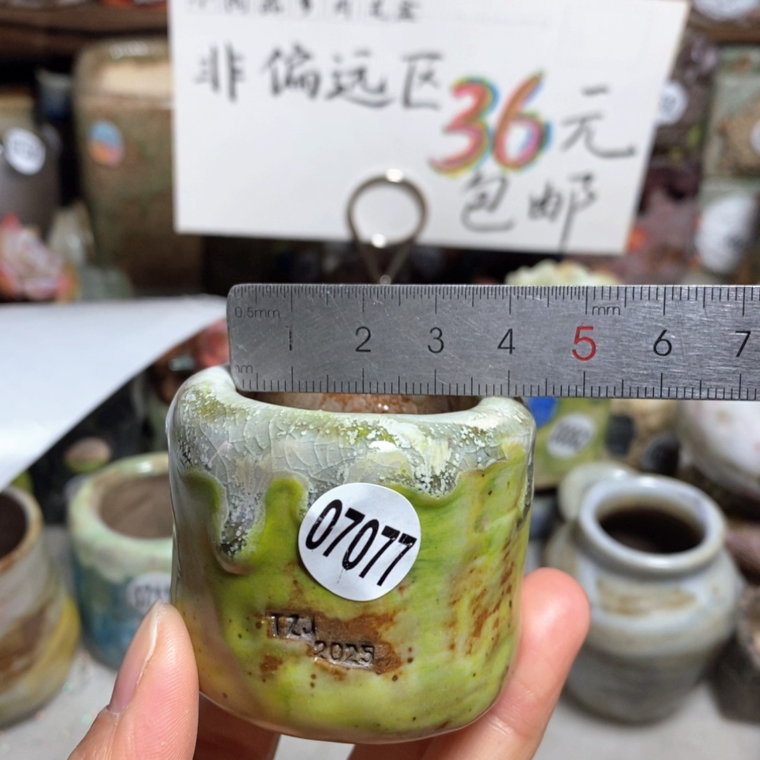 花盆拍3送一个小礼物