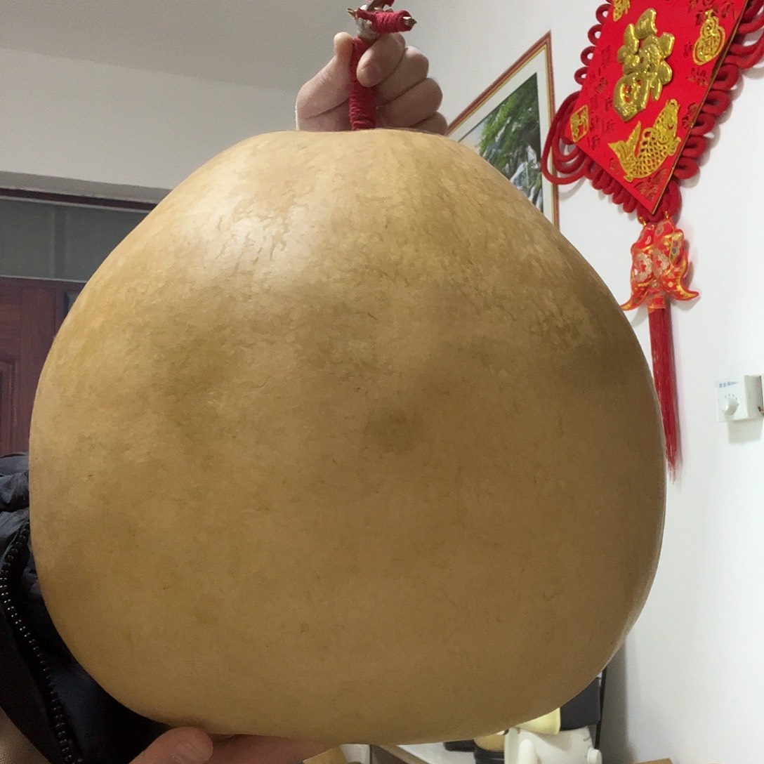 *****微色差大瓢葫芦摆件