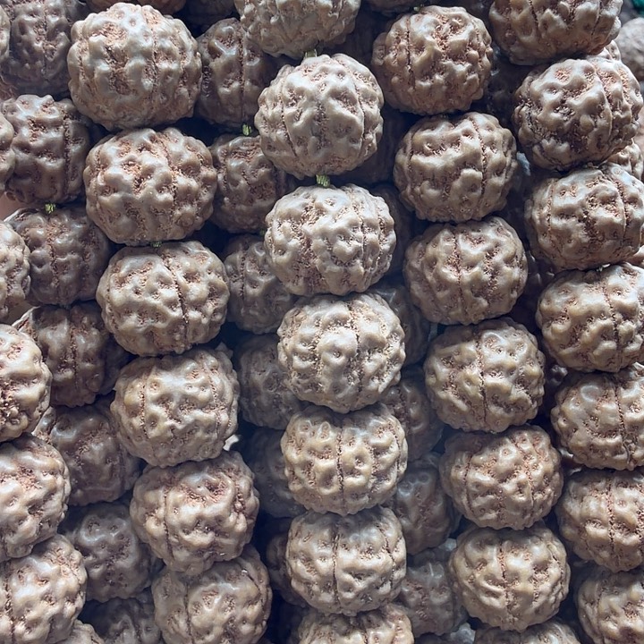 金刚菩提吊坠跳跳龙11.5-12+