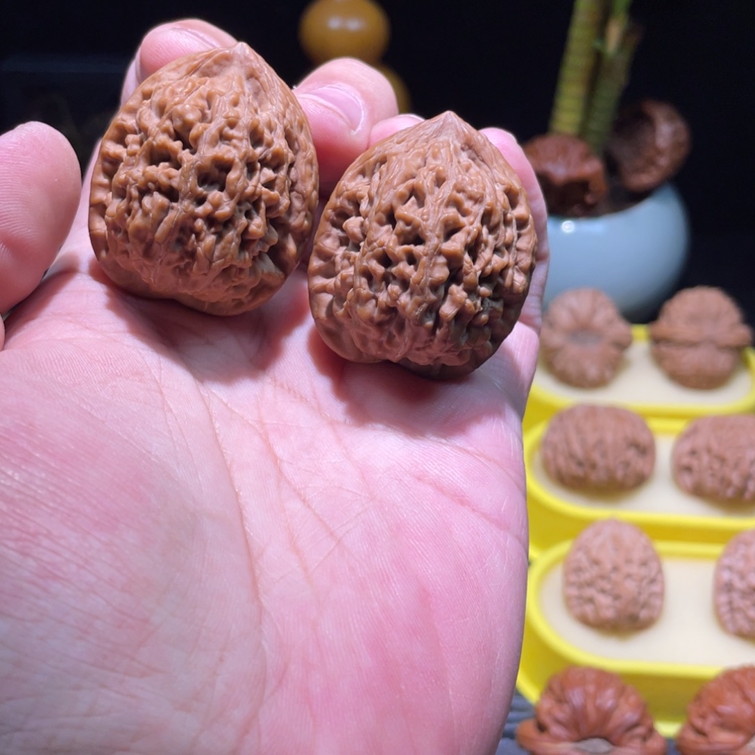 把件文玩核桃36全品老款小众满肉红皮蚂蚁王