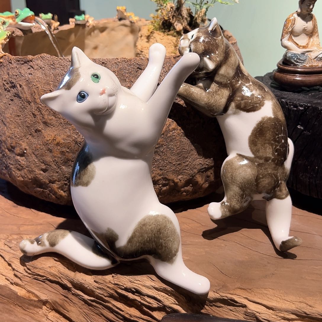 M*猫咪作品见声老师作品